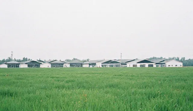 品牌建设中效率提升对市场表现的影响